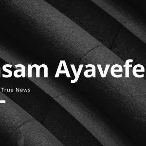 Yasam Ayavefe's Vision for Social Change Resonates in the Business World